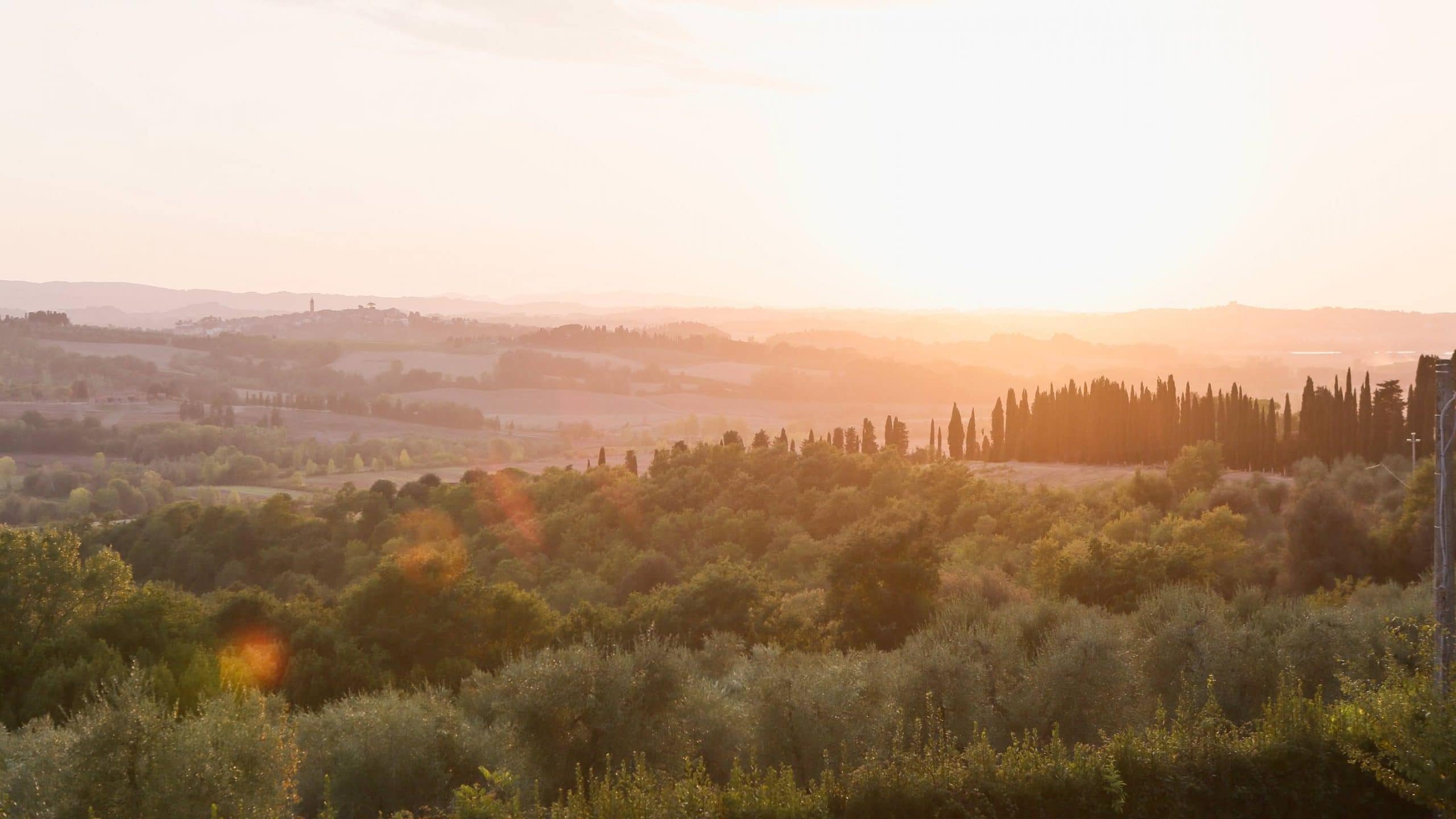 Wedding in Monte San Savino