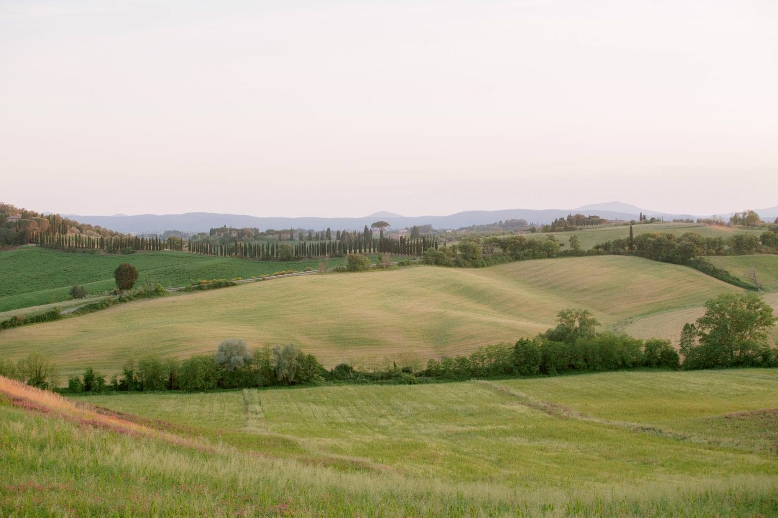 the amazing tuscan hills