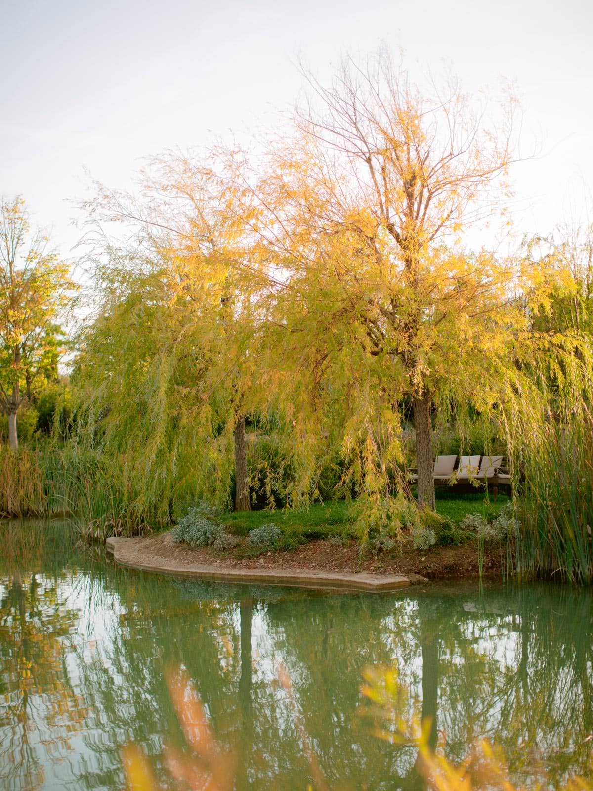 Borgo Santo Pietro in Tuscany is one of the best wedding venue in Italy