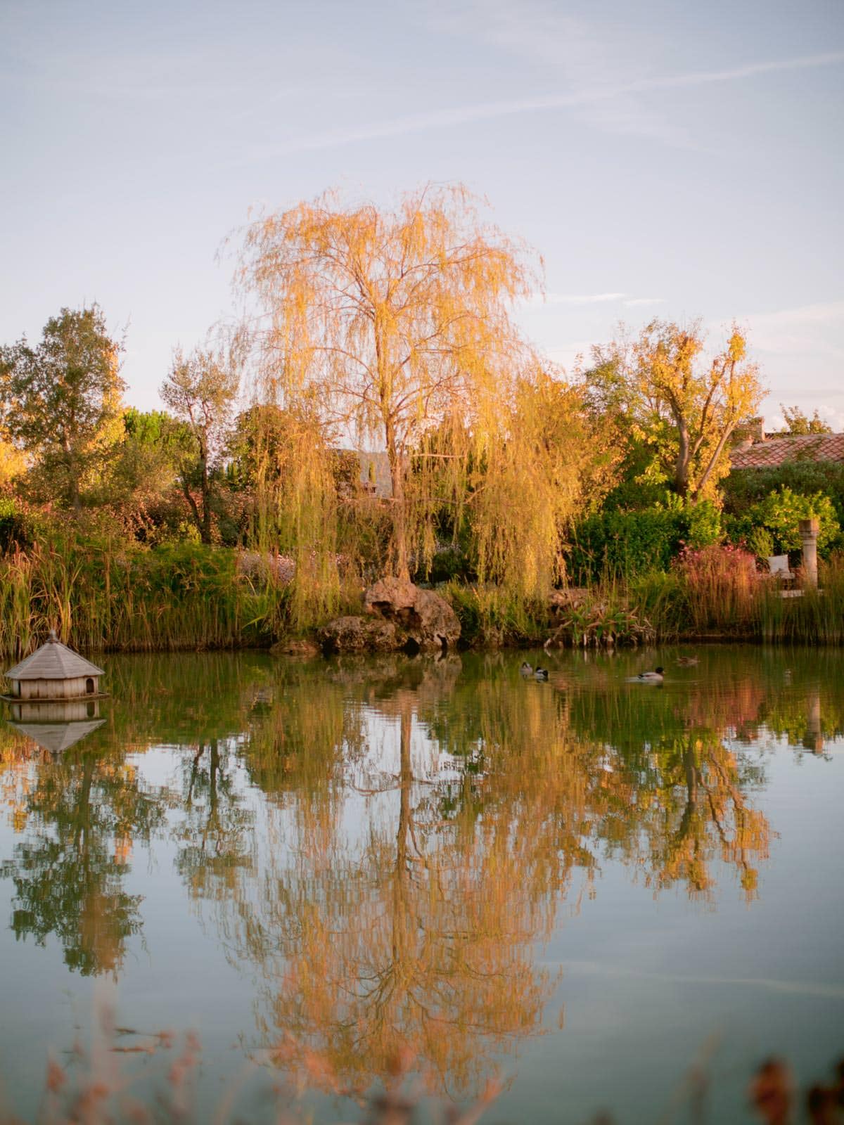 the little lake in Borgo Santo Pietro in Tuscany